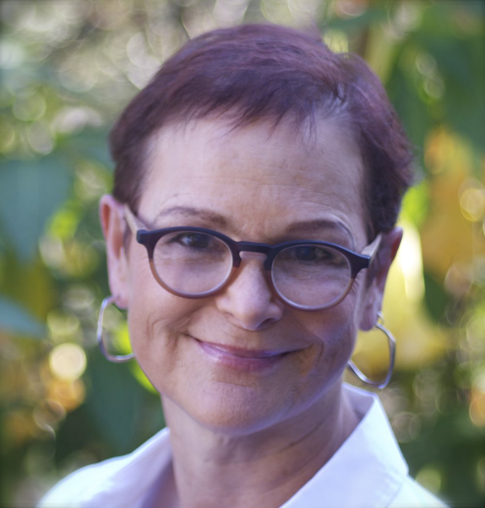 Diana Wagman is the author of five novels, most recently Life #6 . Her second, Spontaneous , won the 2001 PEN West Award for Fiction. Her fourth, The Care & Feeding of Exotic Pets , was chosen as a Barnes & Noble Discover Pick. Her screenplay, Delivering Milo , was produced starring Albert Finney and Bridget Fonda. She has had short stories and essays published, most recently in Conjunctions and The Colorado Review , and she is an occasional contributor to the Los Angeles Times .